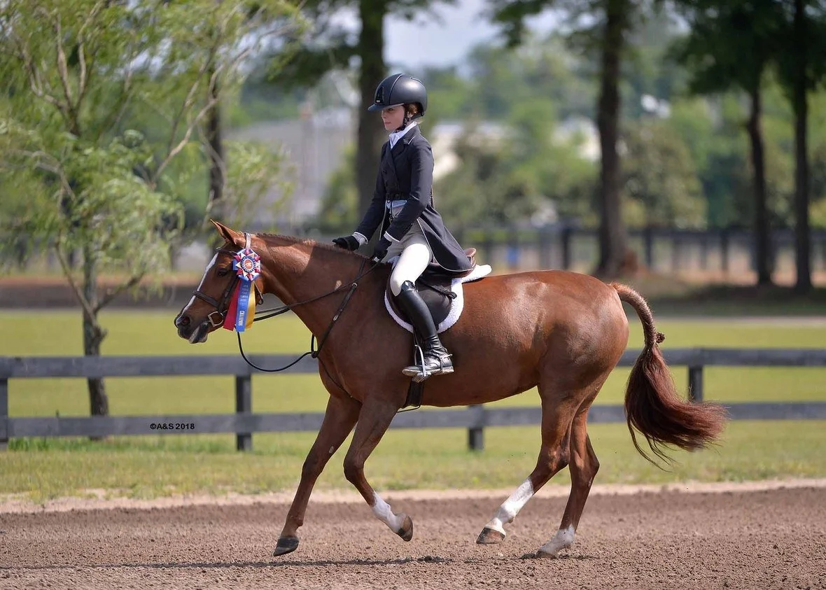Fuqua Springs to Pony Derby &amp; Circuit Champion..