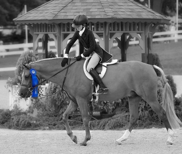 Equina USA Stars …