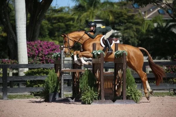 Fuqua Rounds Out 2018 with Top Finishes..Rings in 2019 ..