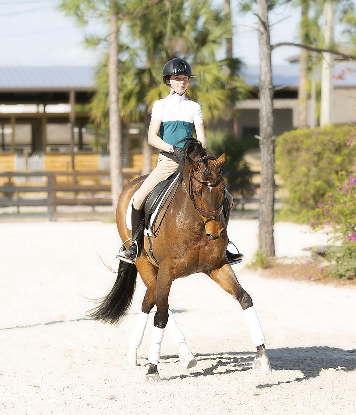 Fuqua Wows: Pony Champion, Big Eq, Juniors, &amp; .. 'Dream Girl'