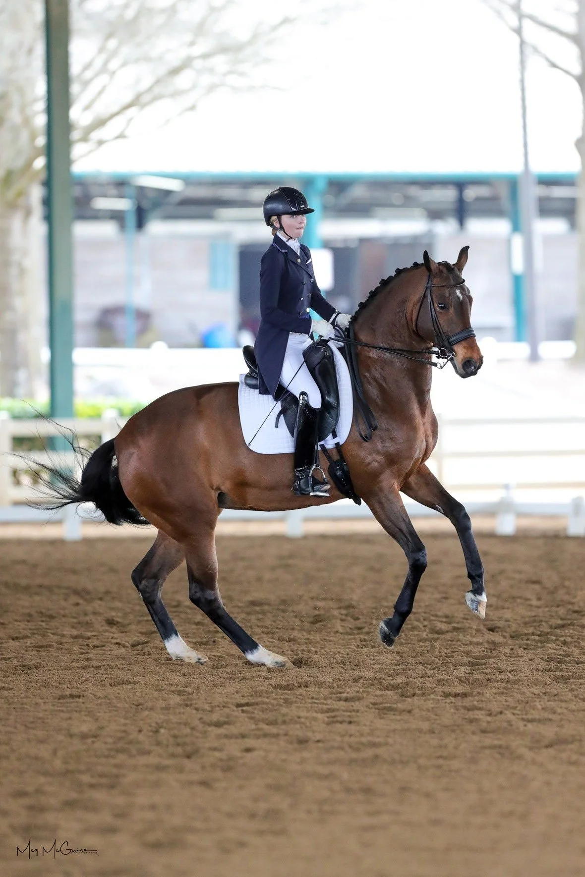 Fuqua Earns USDF Silver Medal Same Week as a Top Finish in WEF 6's Hunter Spectacular