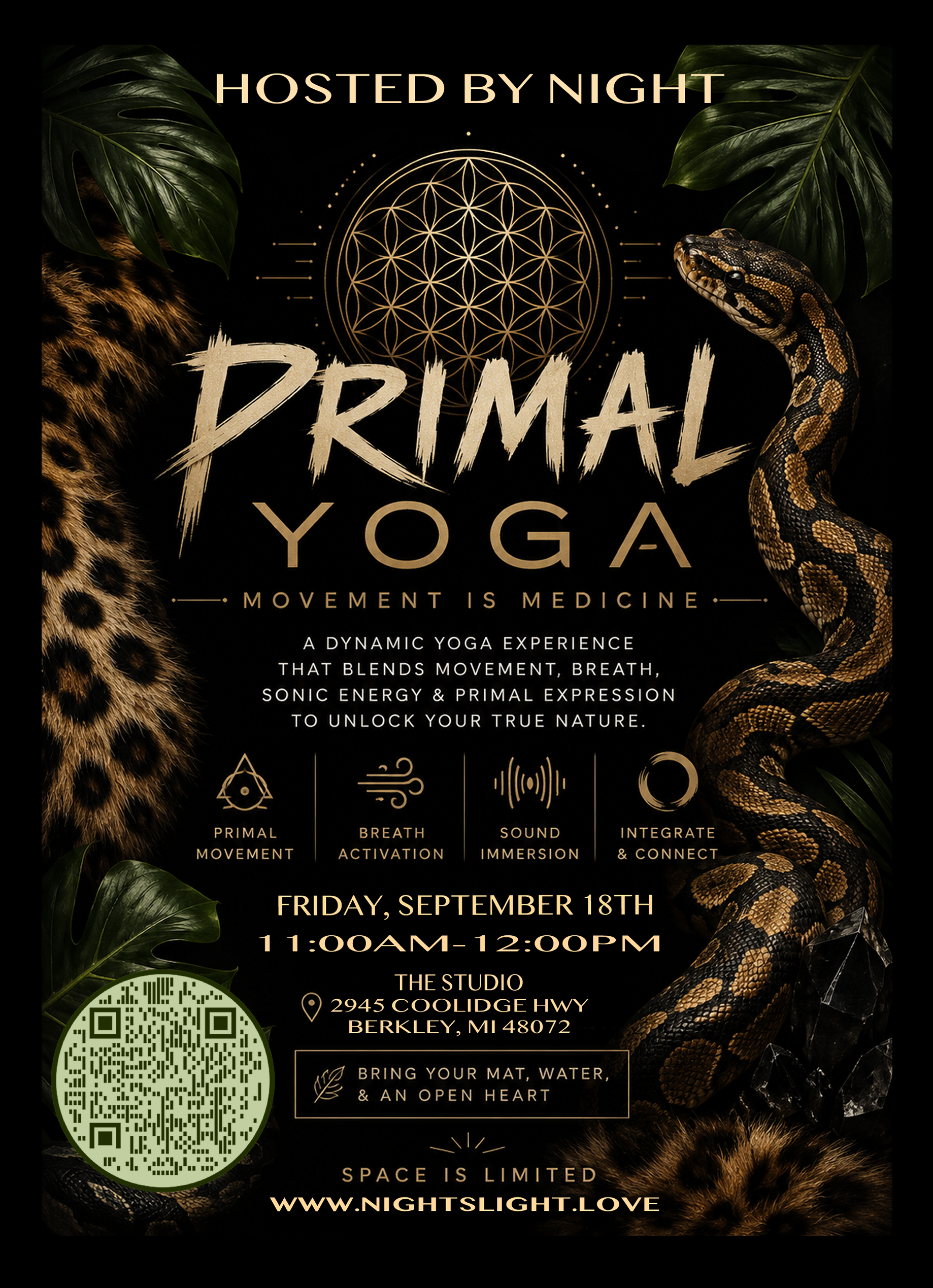 PRIMAL BACKBACK (1).png