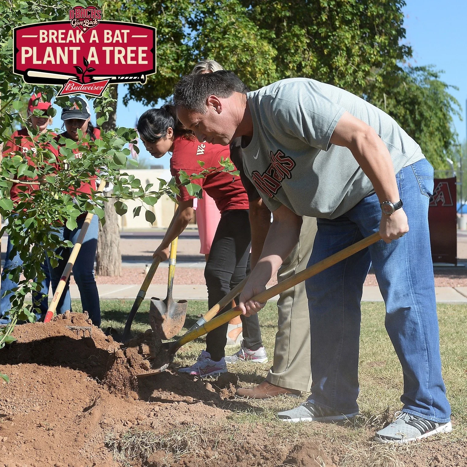 80 New Trees Planted in Cave Creek Park
