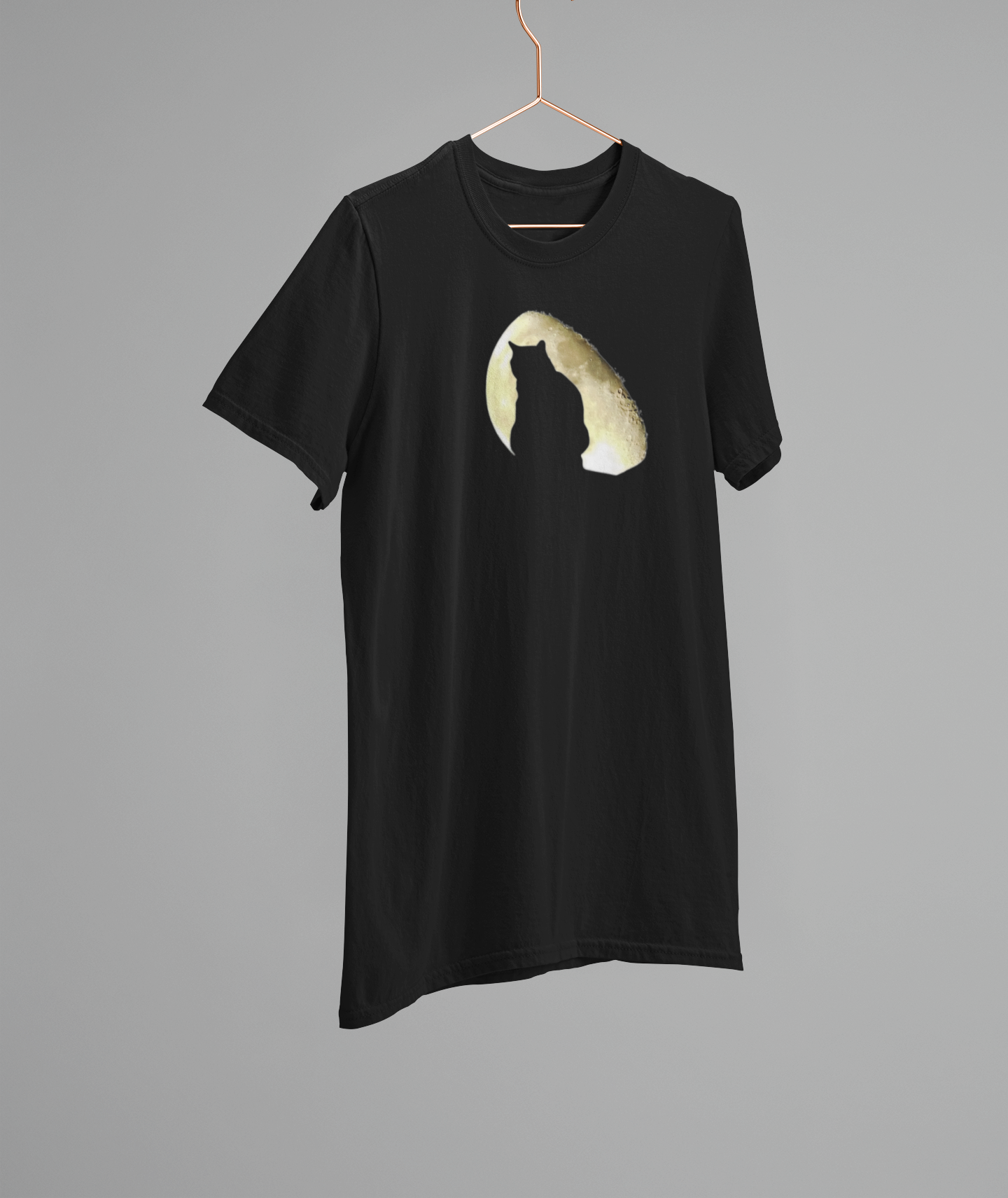 Cat Hanger.png