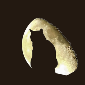 Cat Moon 2.png