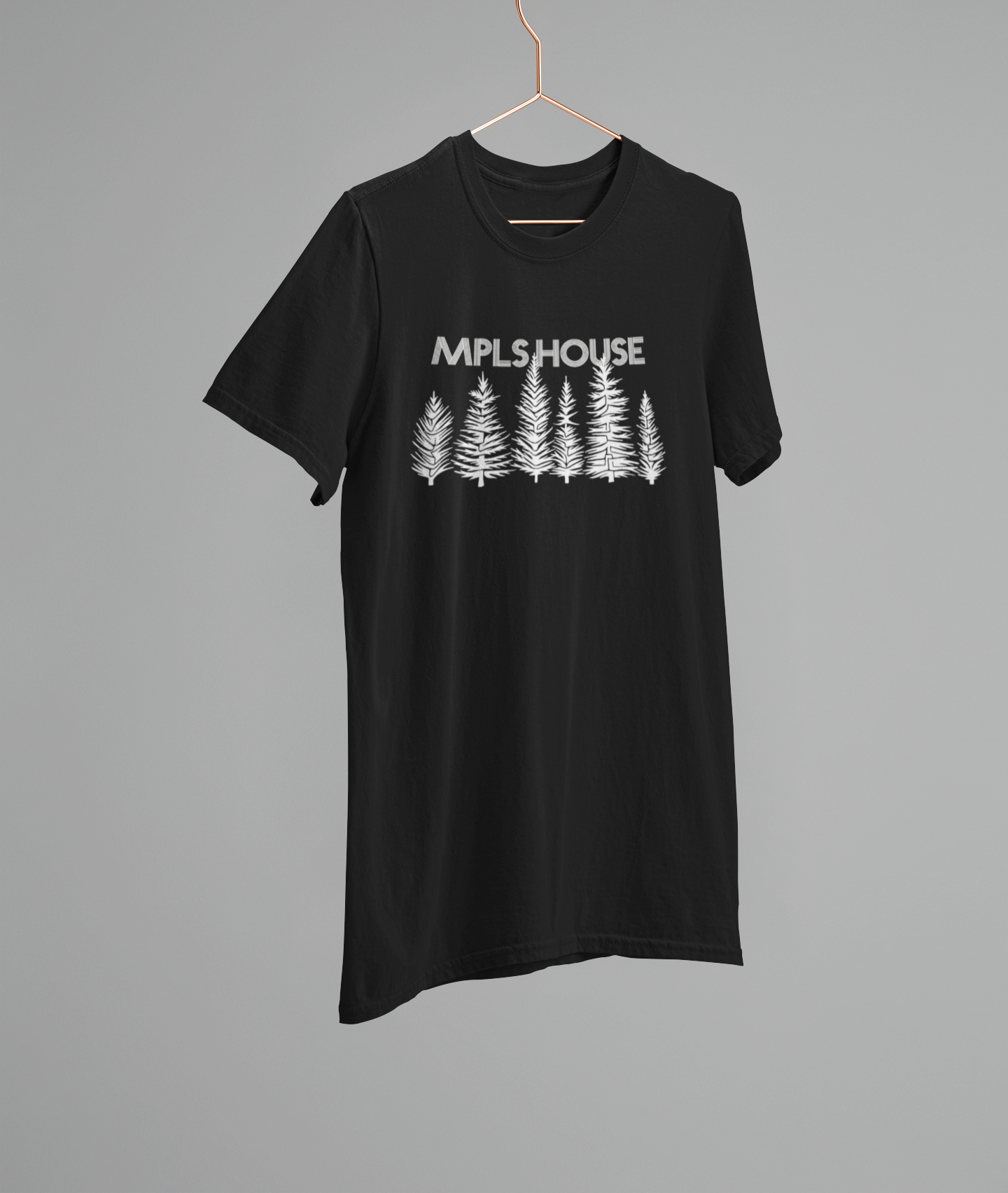 Mpls House (1).png
