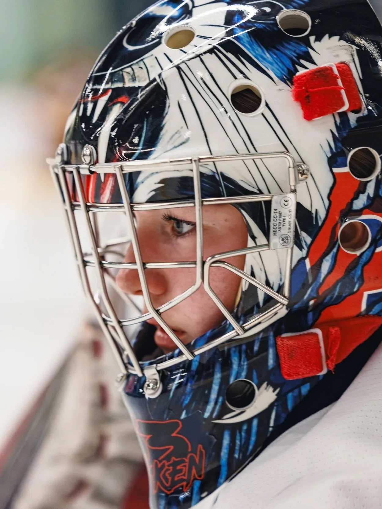 Brock Badger's Women's Hockey