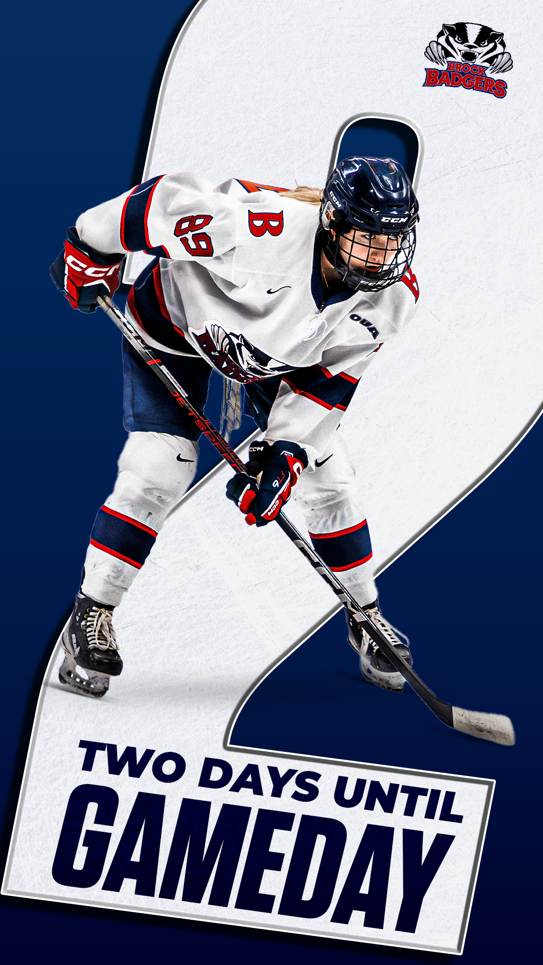 2 Days Until Gameday.png