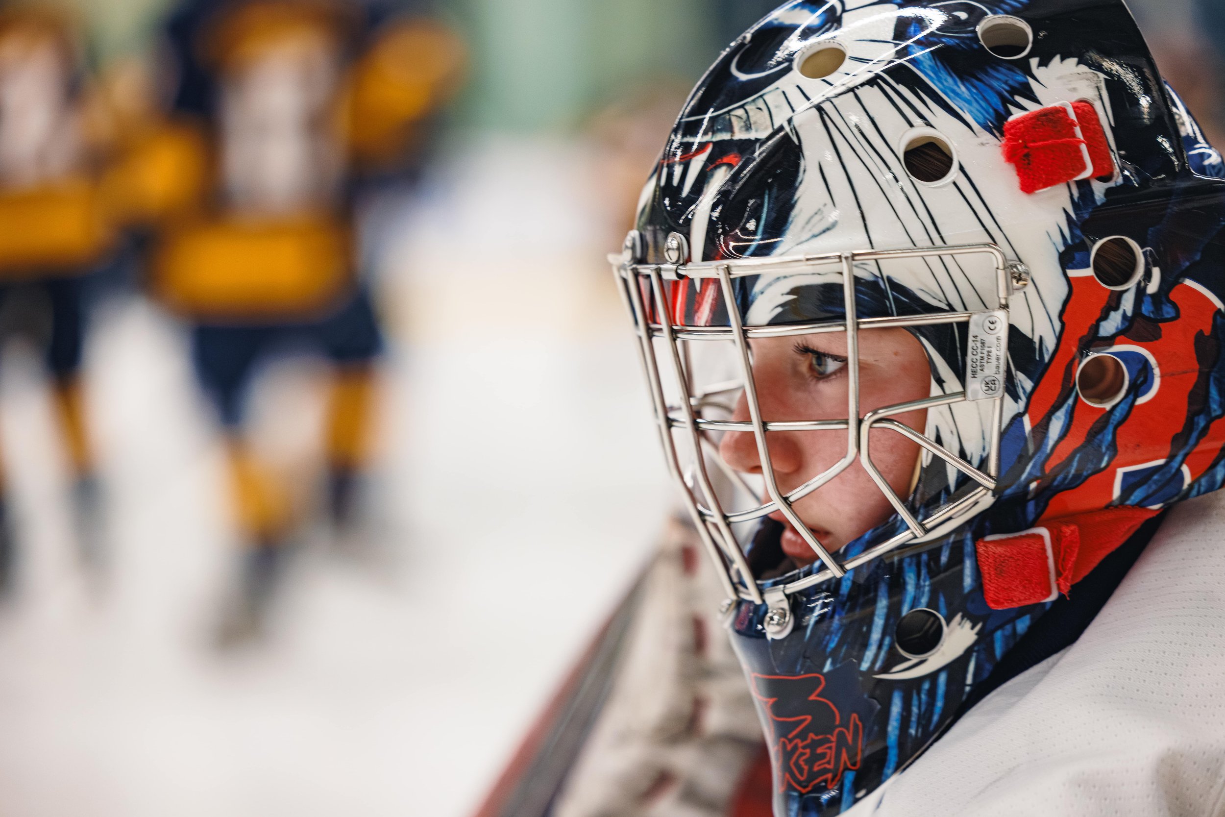 Brock Badger's Women's Hockey