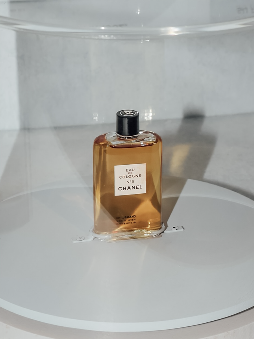 kriebstudio_chanel_academymuseum11.png