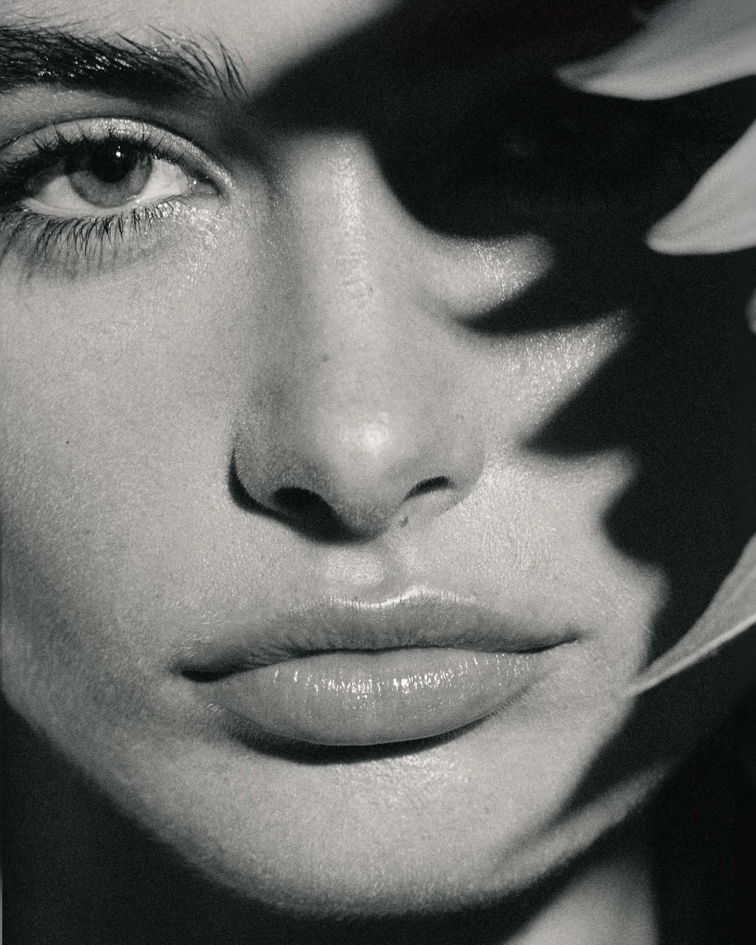 25_08_23 Editorial1583 pb copy2.jpg