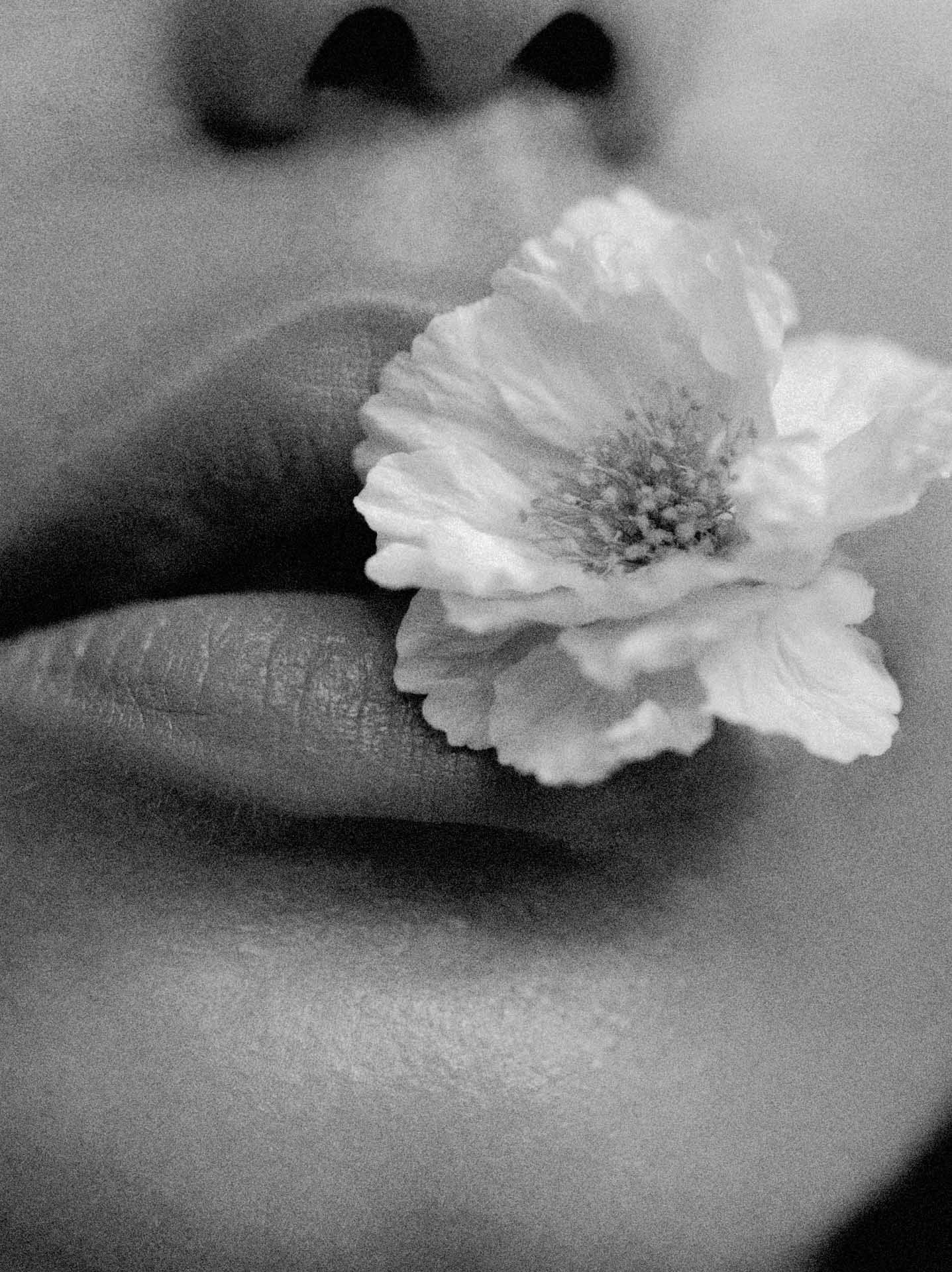 closeup_editorial.jpg