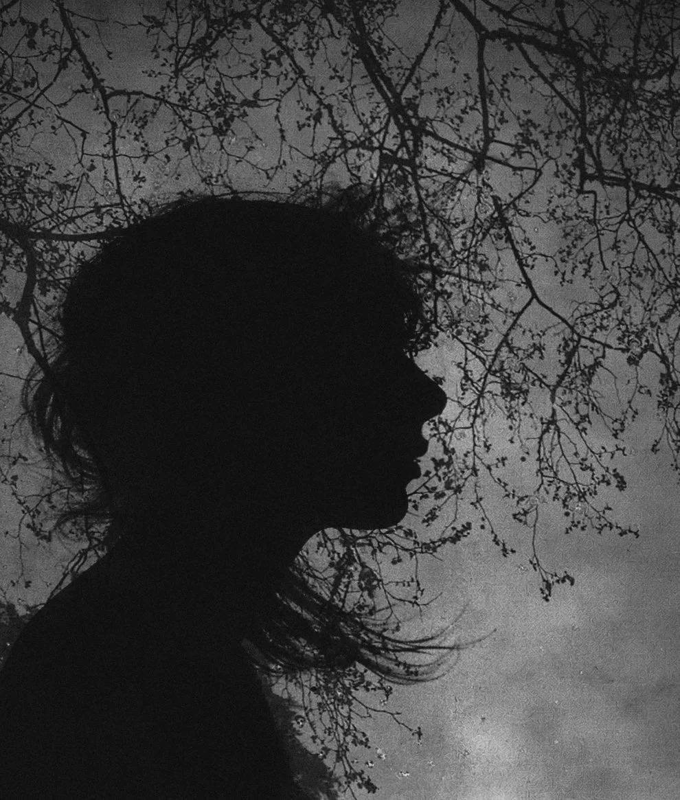 Silhouette of a woman’s profile with her hair blowing in the wind, against a background of tree branches and a cloudy sky.