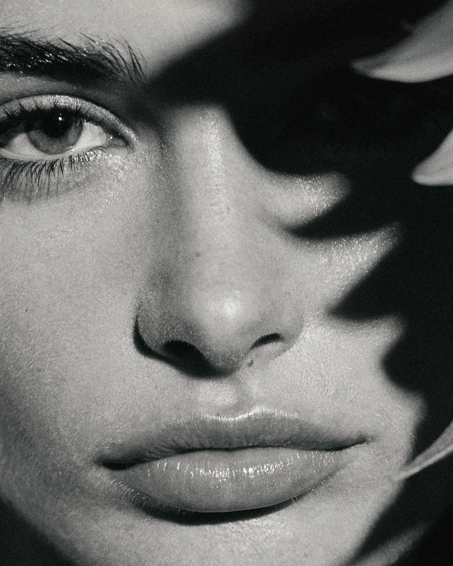 25_08_23 Editorial1583cor copy2.jpg