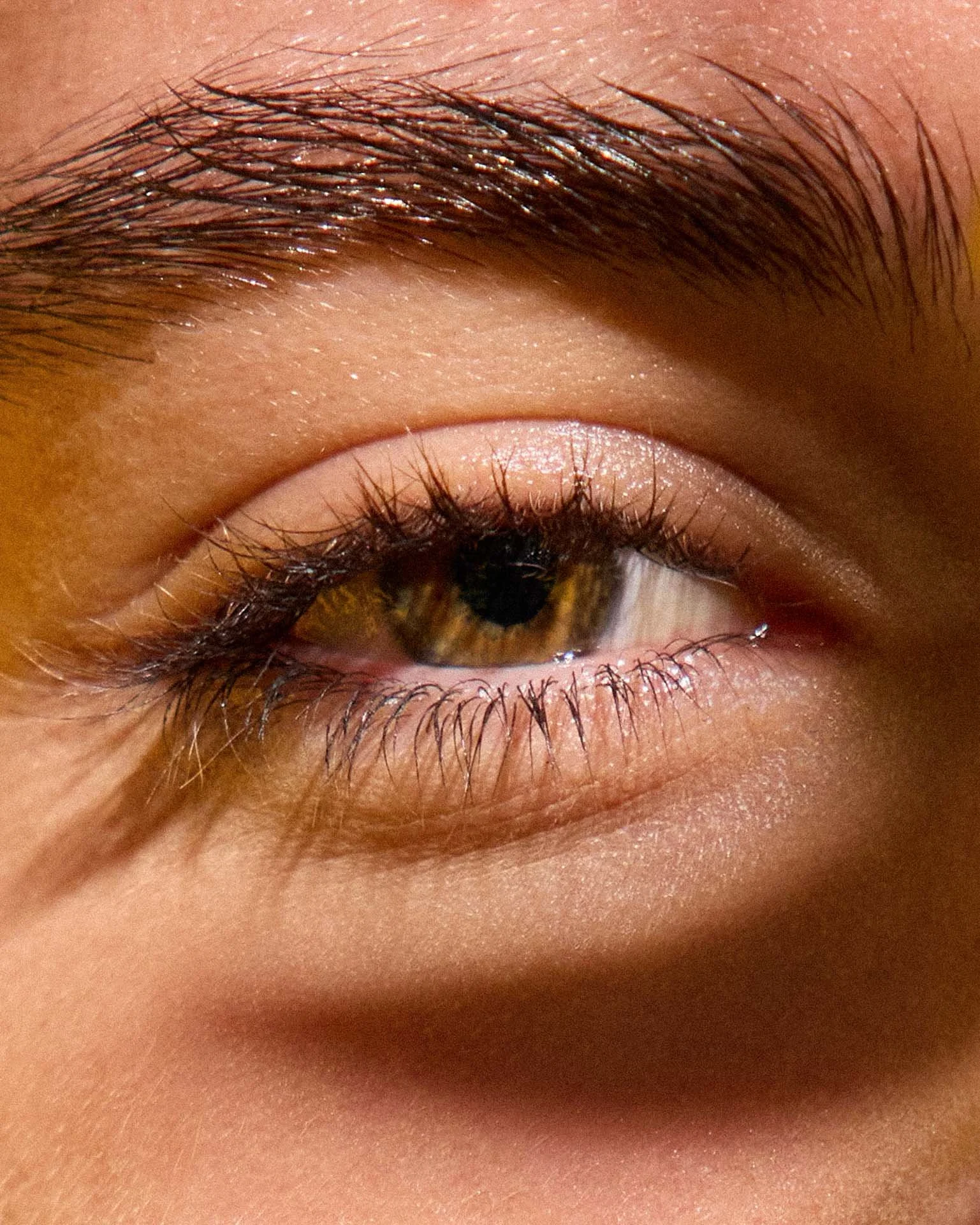 25_08_23 Editorial1601.jpg