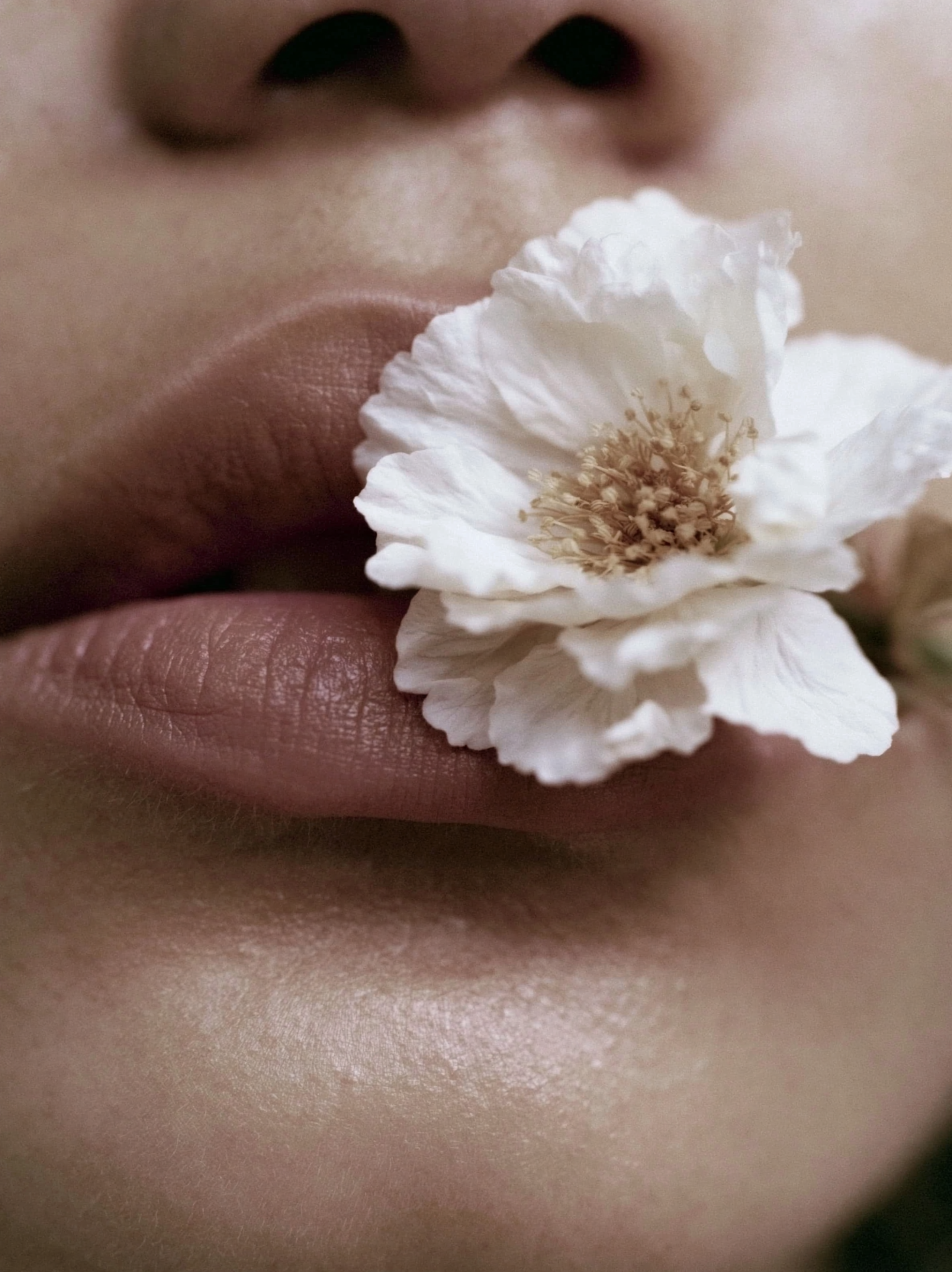 mmeblavatsky_extreme_beauty_close-up_of_natural_lips_holding__c9101279-9b03-4430-95db-279144de99b0_3.png