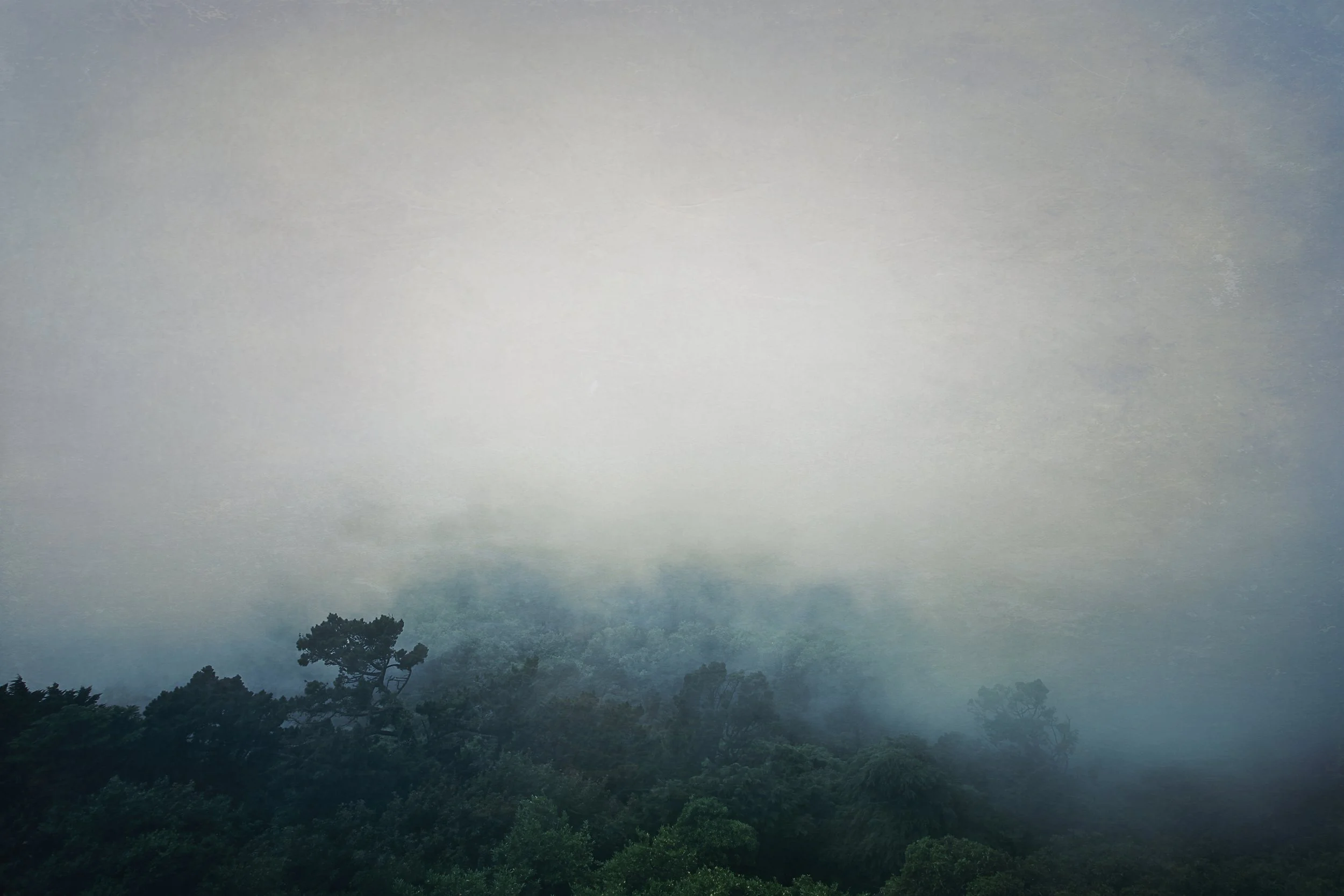 Roadtrip 148 copy.jpg