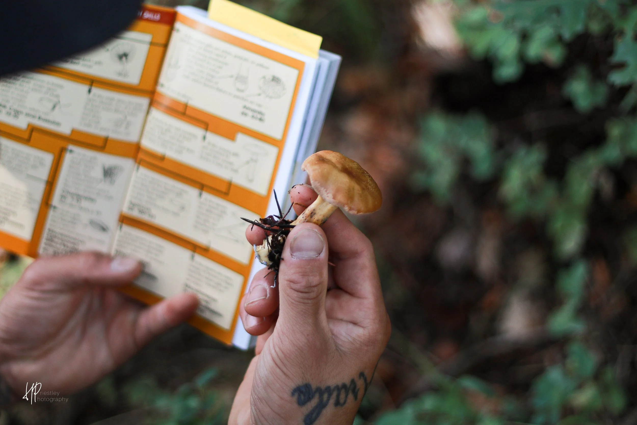 08.10.24 Mushroom Hike-02.jpg