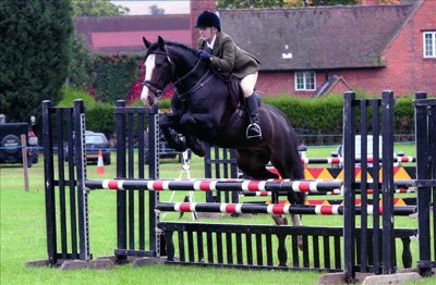 Jumping at the Henley on Thames Show