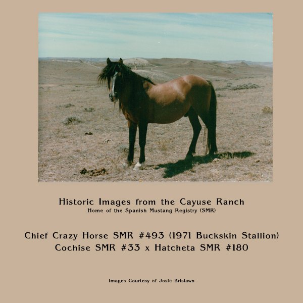 493_chiefcrazyhorse.jpg