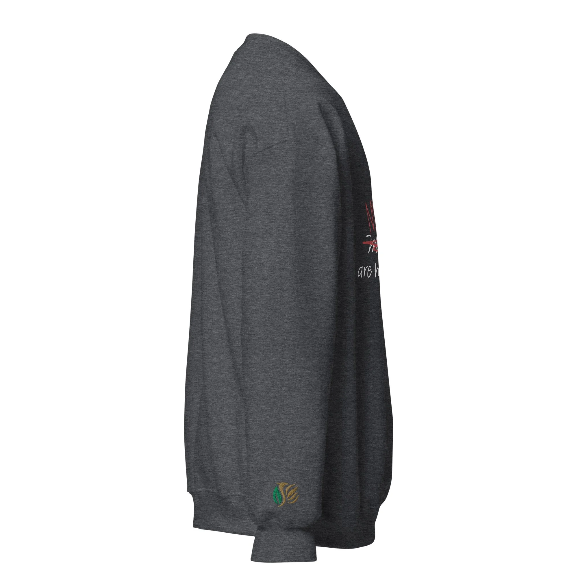 unisex-crew-neck-sweatshirt-dark-heather-right-6784464912566.jpg