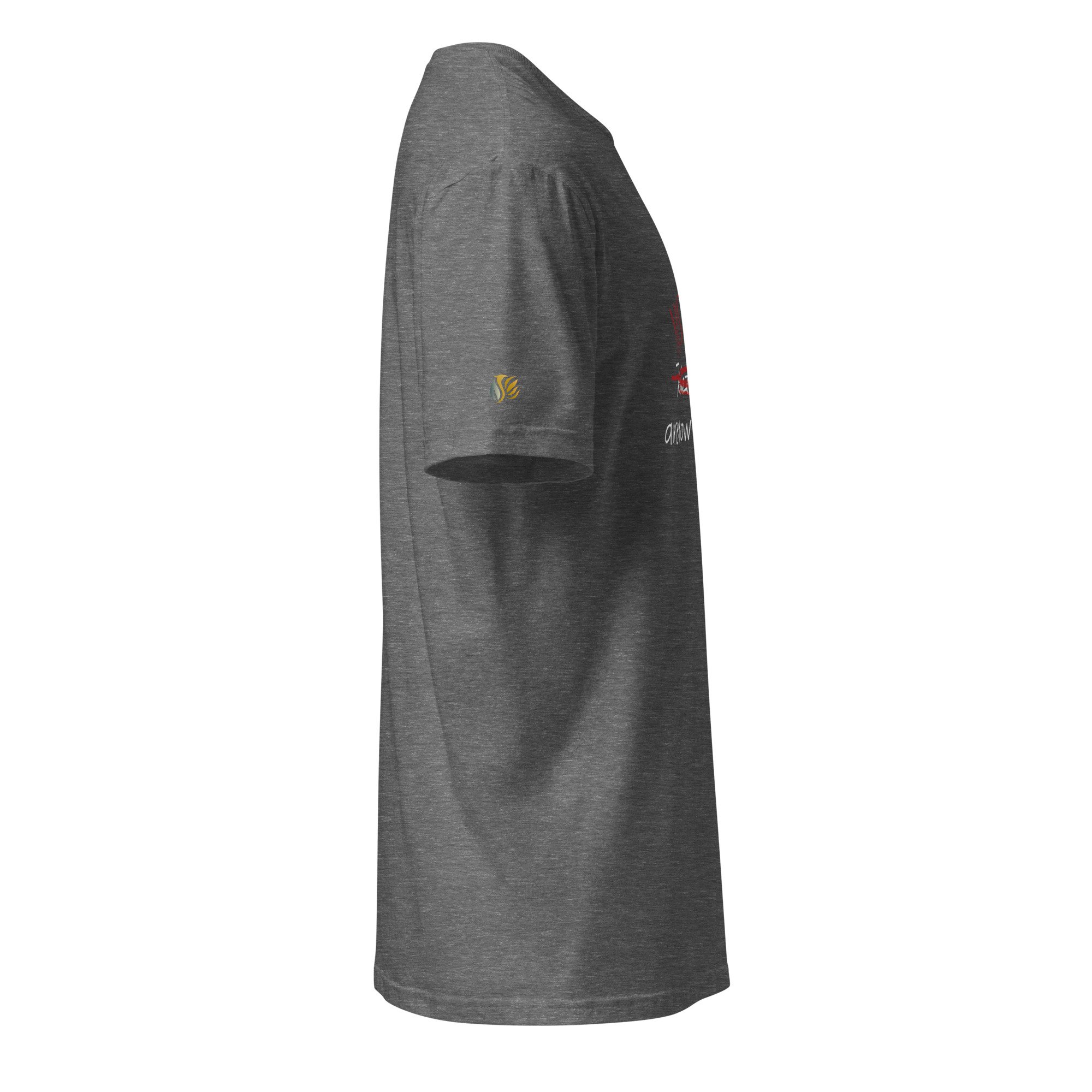 unisex-basic-softstyle-t-shirt-graphite-heather-right-678431569e657.jpg