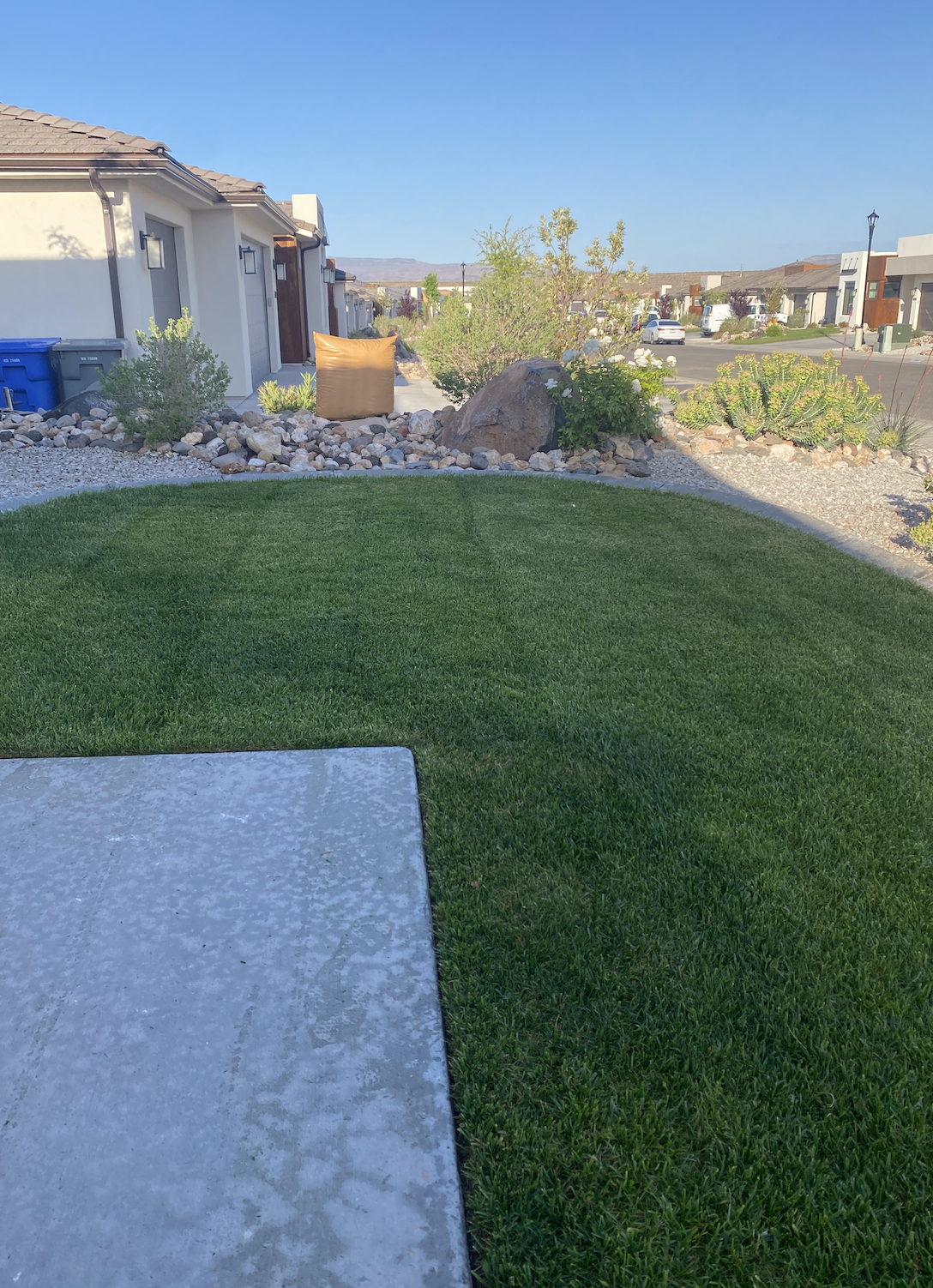 Screen Shot 2023-05-14 at 8.45.57 AM.png