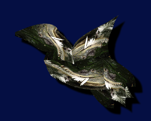 Feathered Threshold (2025)