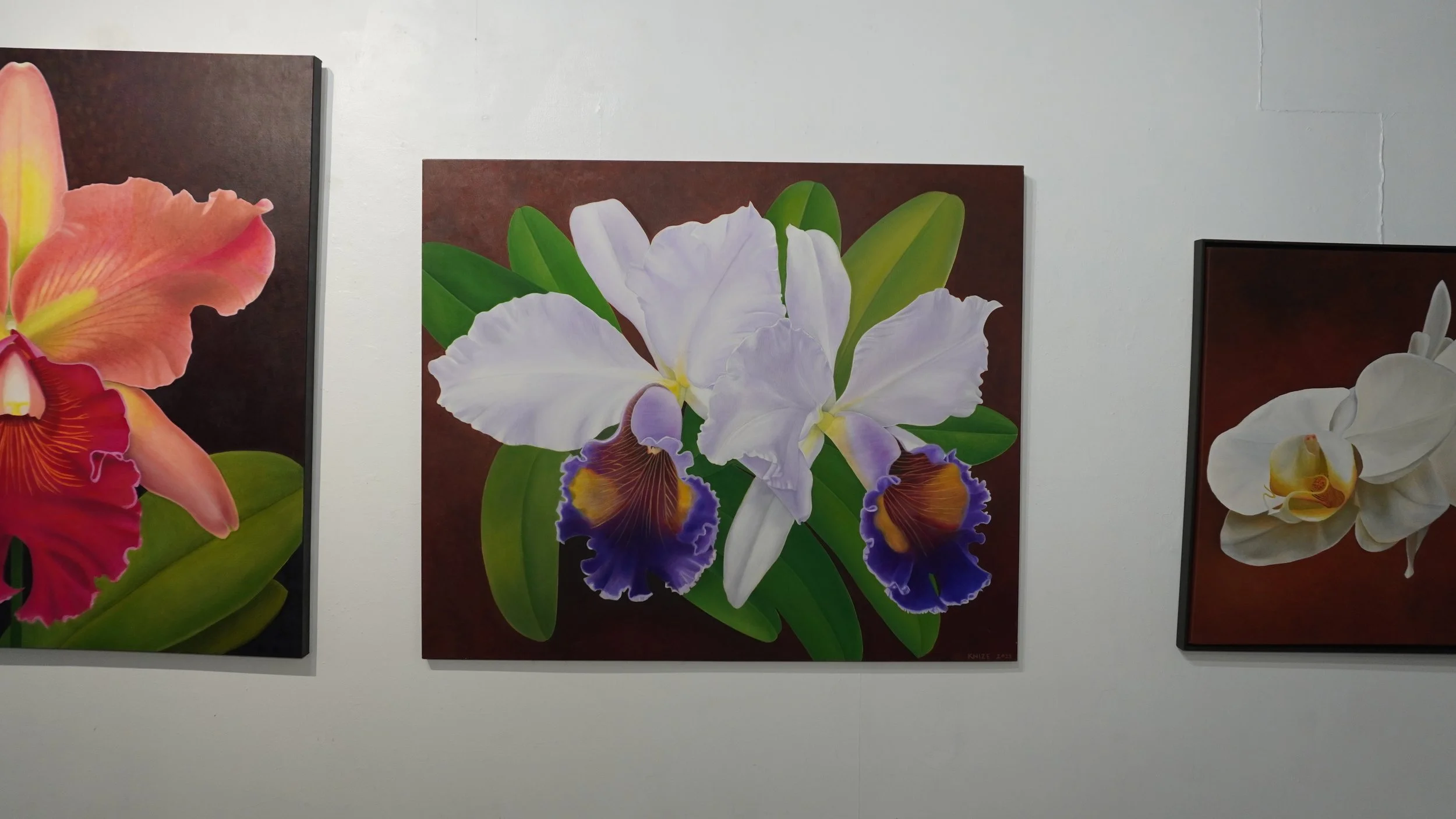White, brown, purple, and green flowers with dark brown background. 