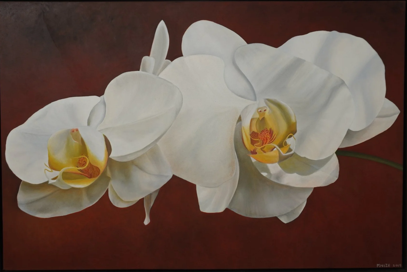 Two white phal flowers, the center of each flower is orange and red. The background is dark reddish-brown. 