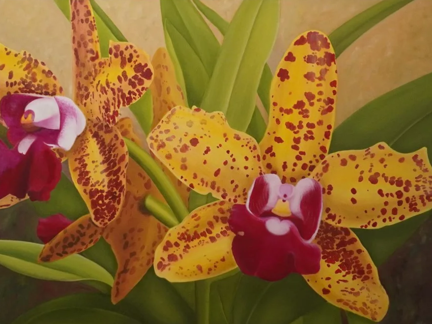 Yellow, red, and pink orchid flowers with flora surrounding. A light yellow washes the background. 