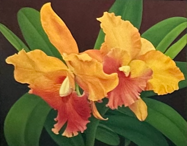 Two yellow and orange flowers, they are surrounded by flora. The background is a dark brown. 