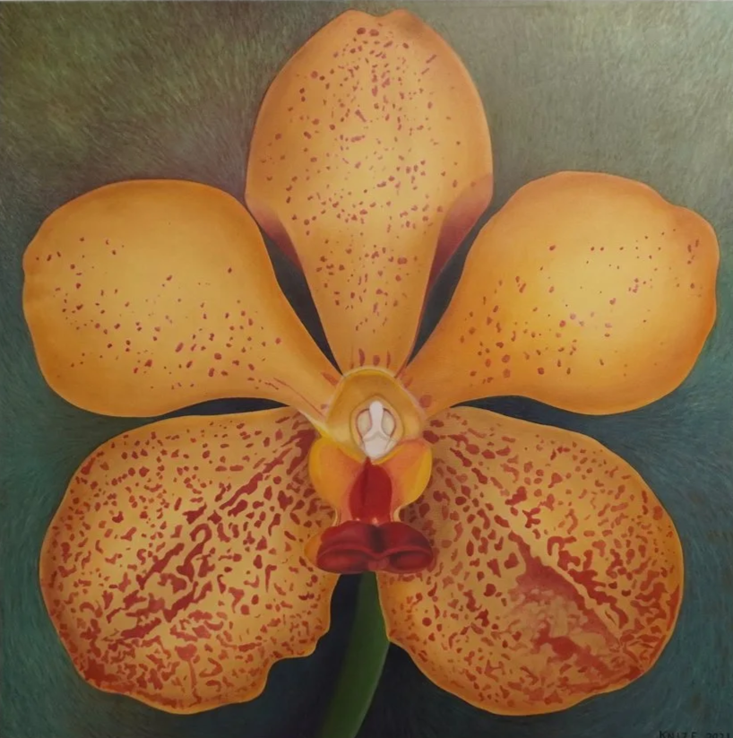 Single yellow, orange, and white splendor. The background is multi-colored green. 