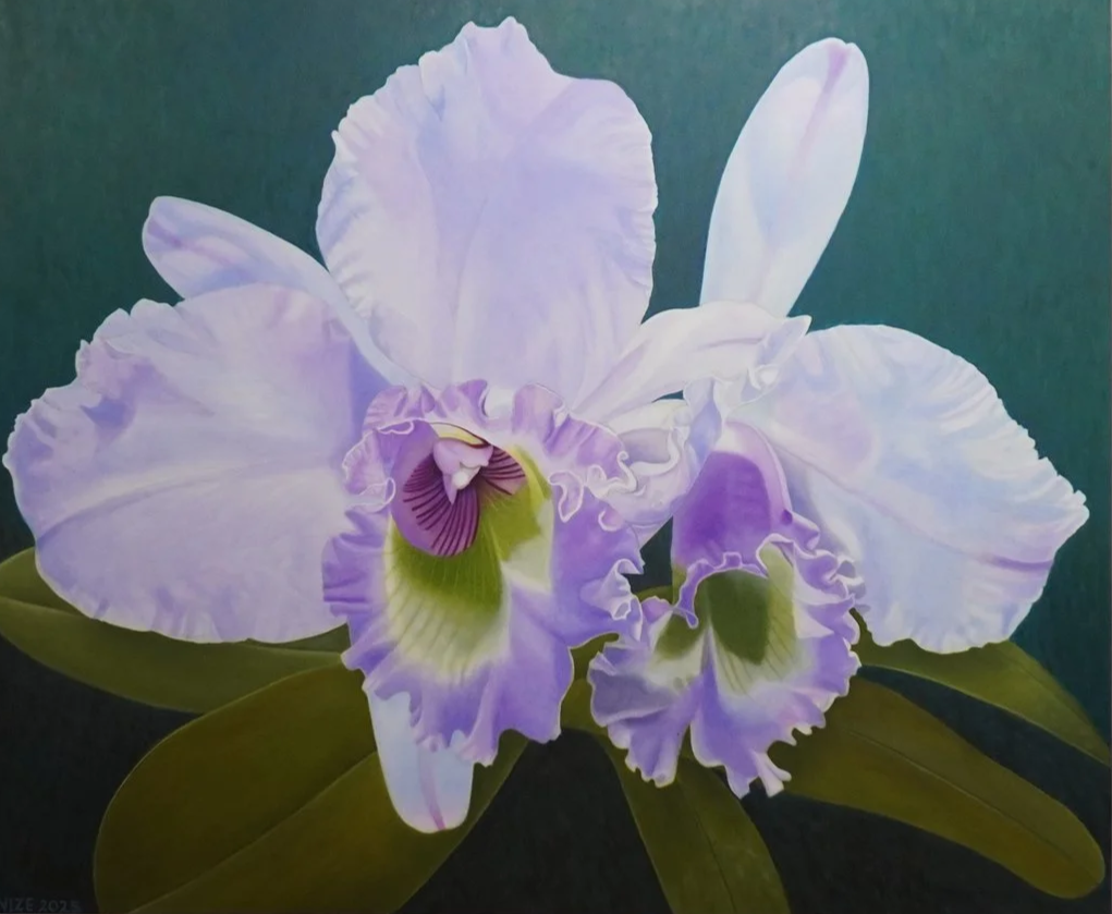 Two purple and white flowers, the center of each flower is green and dark purple. The flowers are surrounded by flora, and the background is a dark teal. 