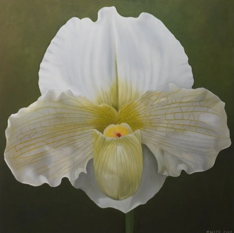 A single white paph, the center of the flower is green and yellow. The background is dark green. 