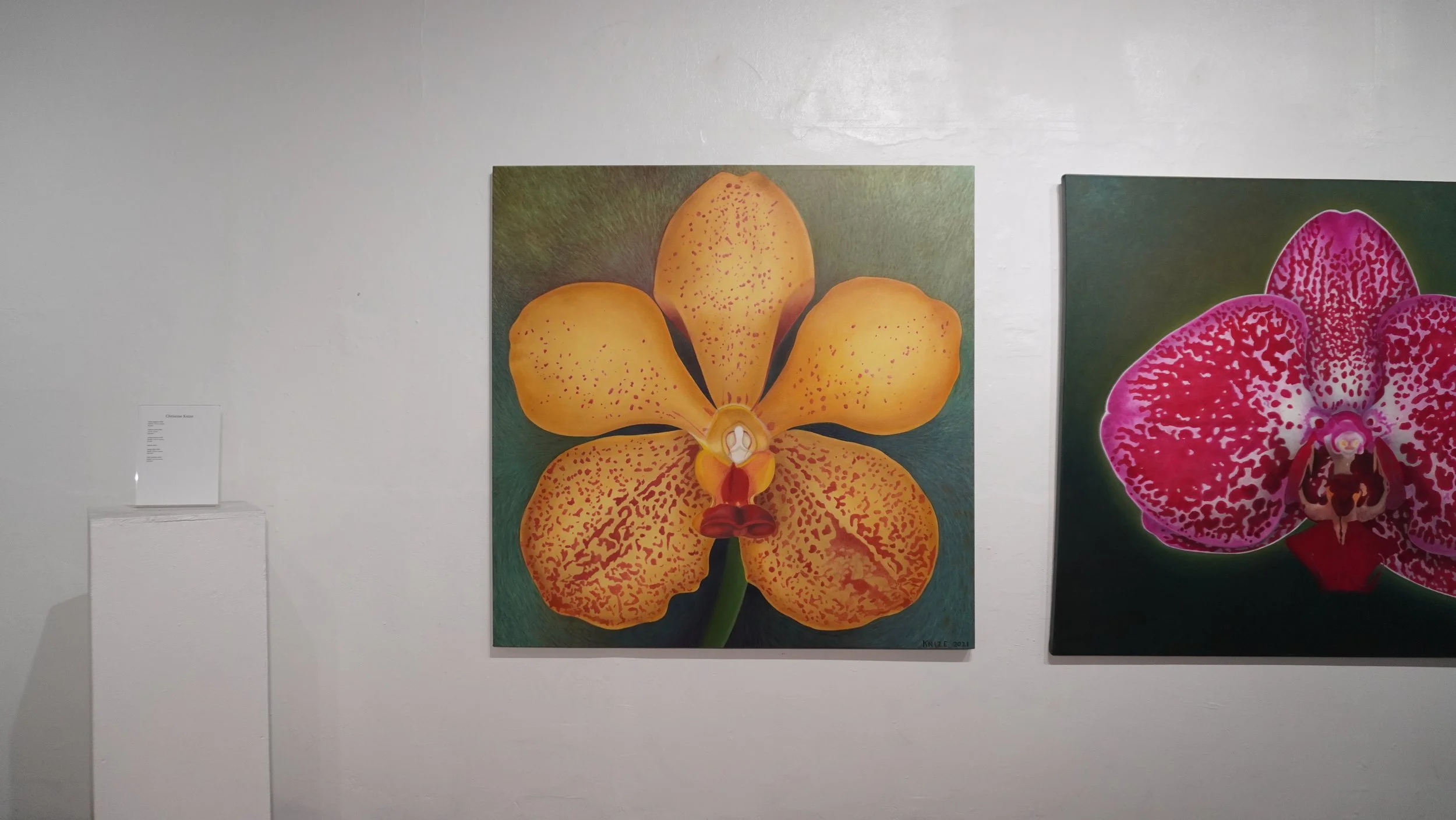 Single yellow, orange, and white splendor. The background is multi-colored green. 