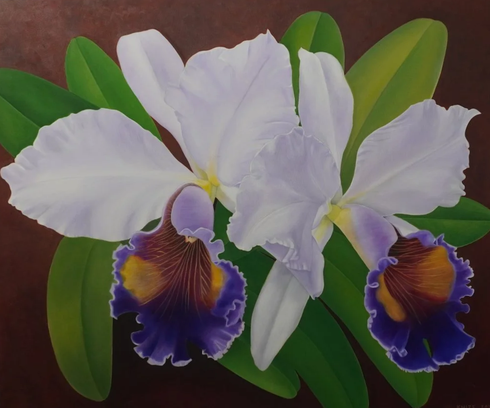 White, brown, purple, and green flowers with dark brown background. 