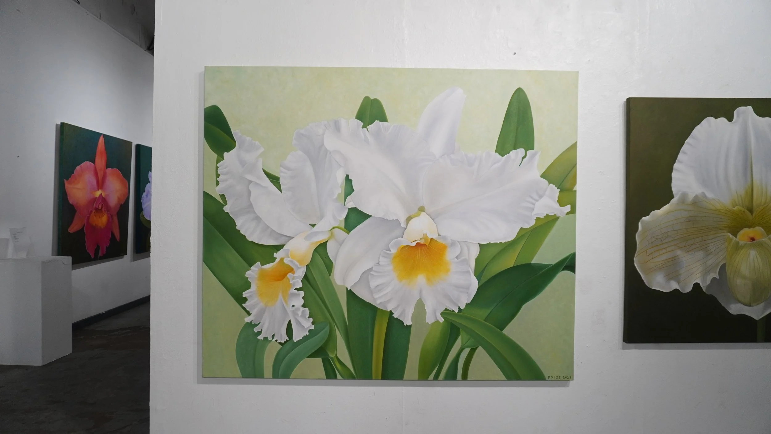 White, yellow, and green cattleya flowers with a light green background. 