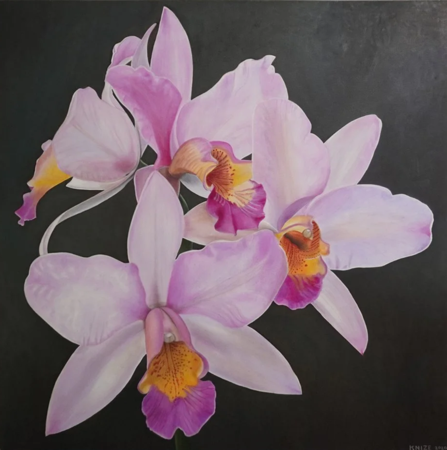 Three cattleya, they are colored light pink, purple, and orange. The center of each flower is dark purple, with orange sections. The background is dark greenish brown. 