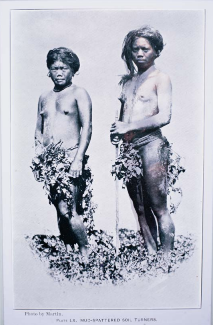 Screen Shot 2024-07-12 at 1.20.35 PM.png