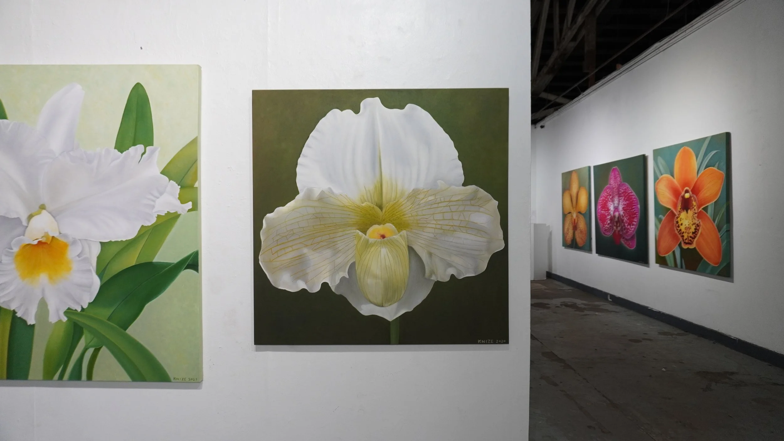 A single white paph, the center of the flower is green and yellow. The background is dark green. 