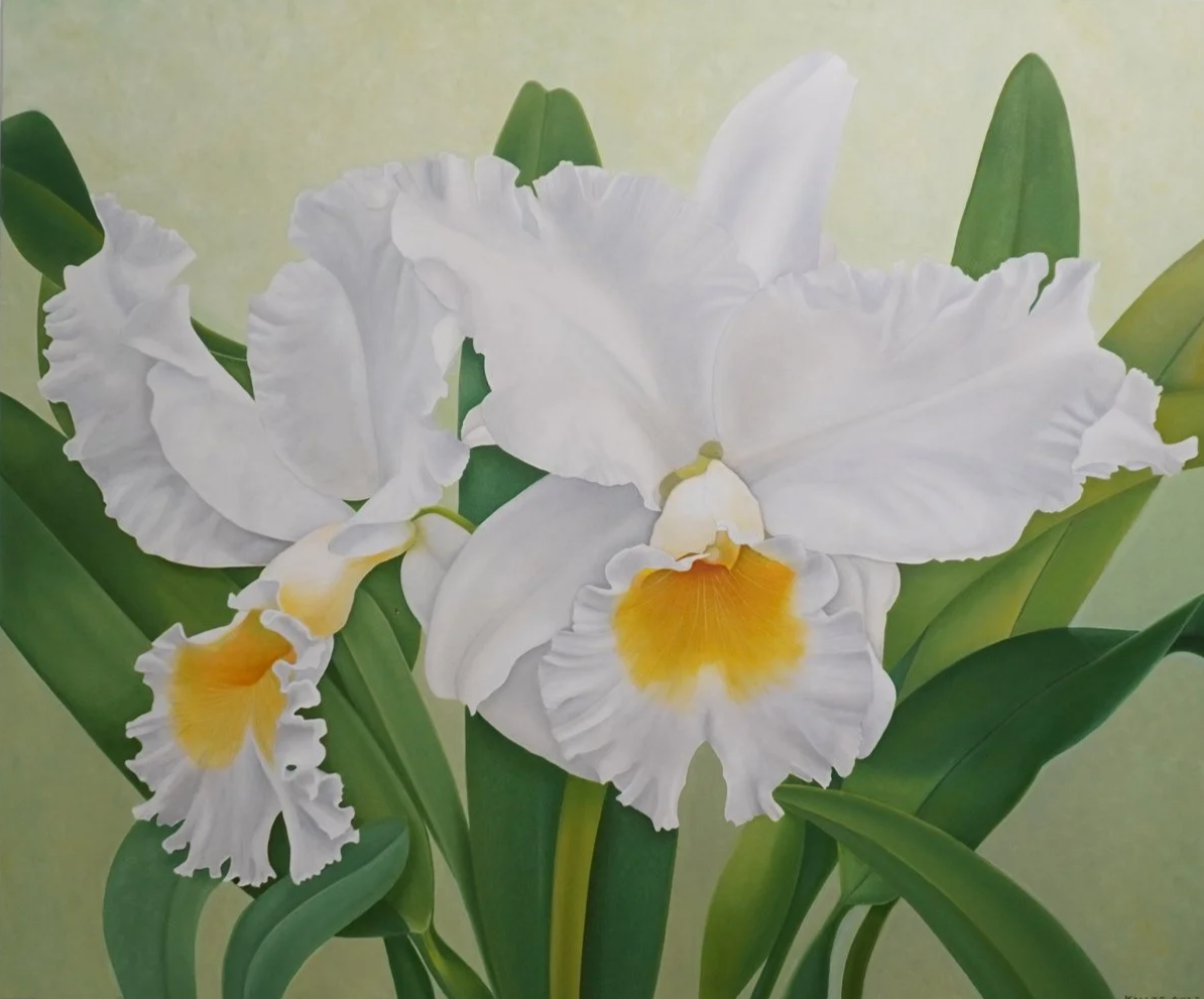 White, yellow, and green cattleya flowers with a light green background. 