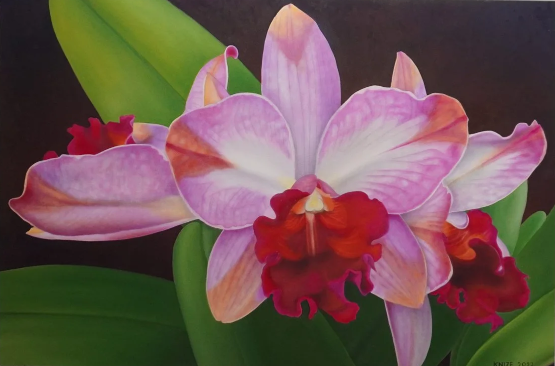 A cluster of fuchsia orchids, their colors are: red, purple, pink, peach, white, and orange. The flowers are surrounded by flora, and the background is brown. 