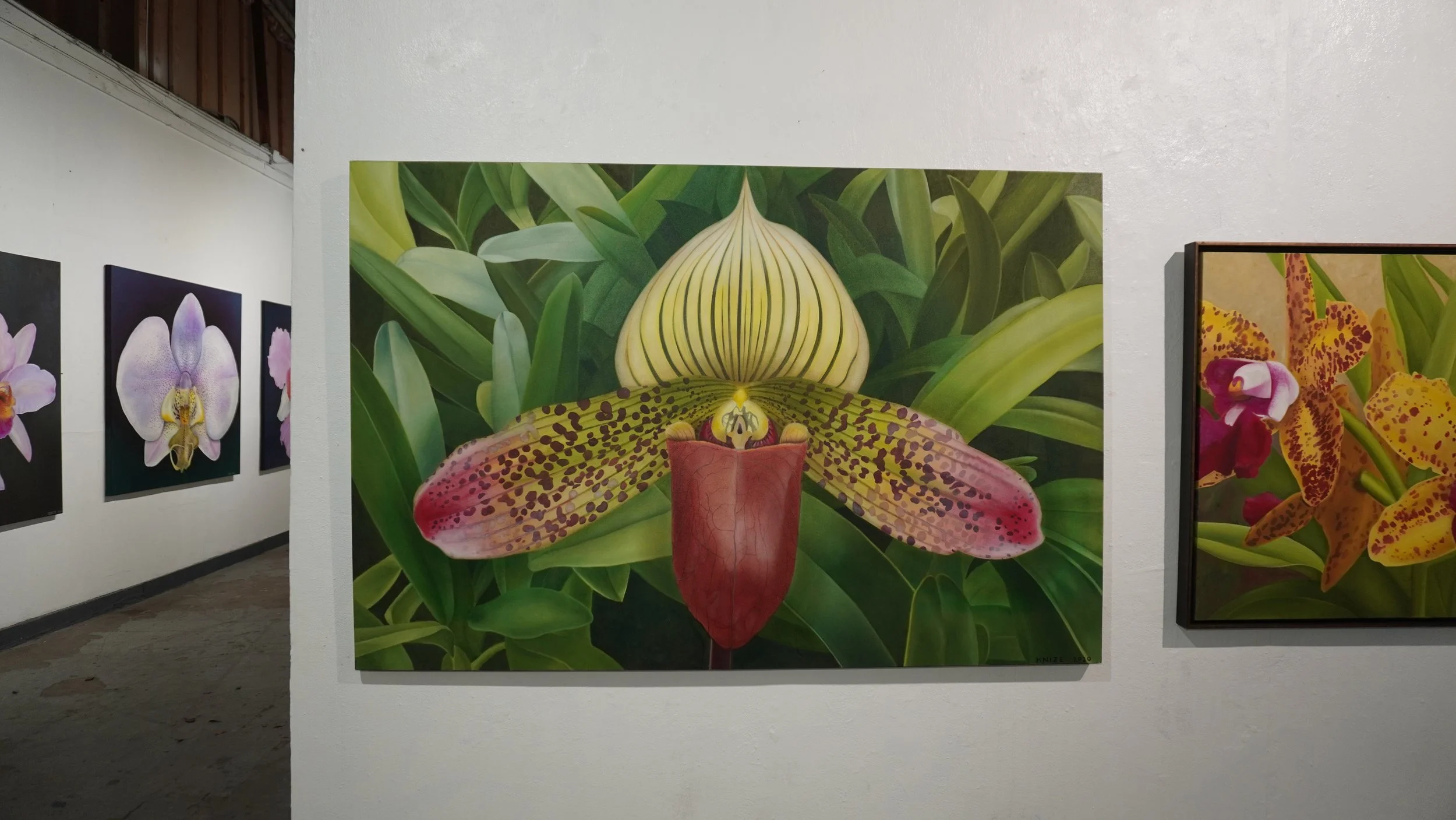 Green, reddish-brown, yellow, and pink jungle path flower with flora background. 