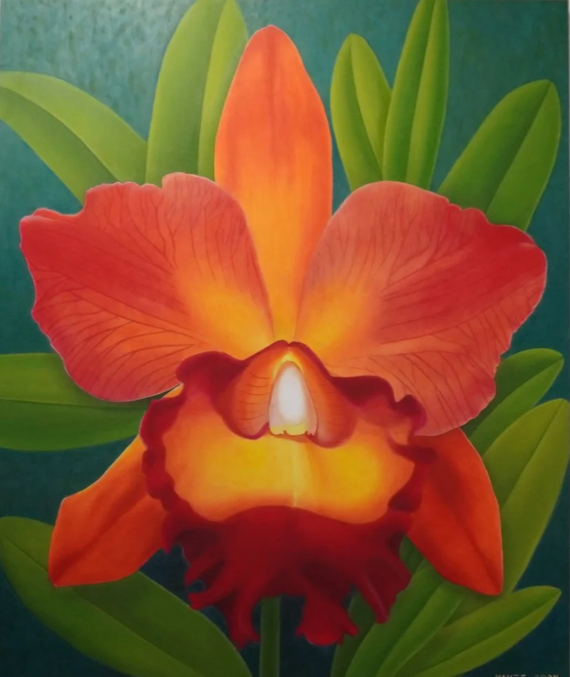 Orange and yellow cattleya flower, with a white center. Flora surround the flower, with a green background.