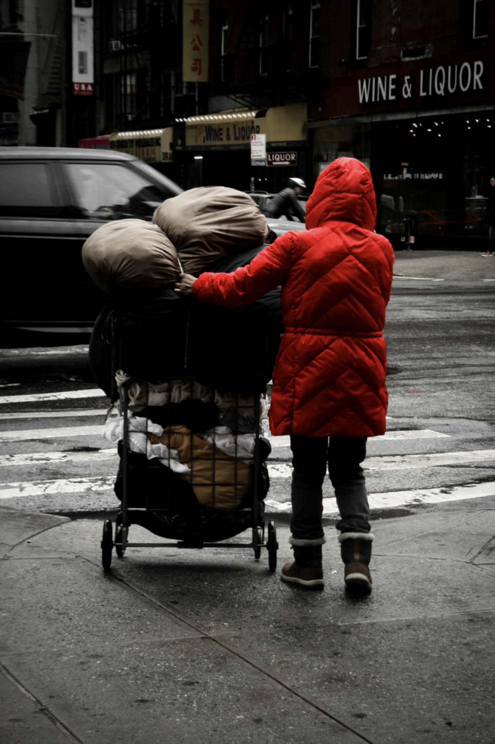 Image of person in red hoodie pushing a shopping cart full of items