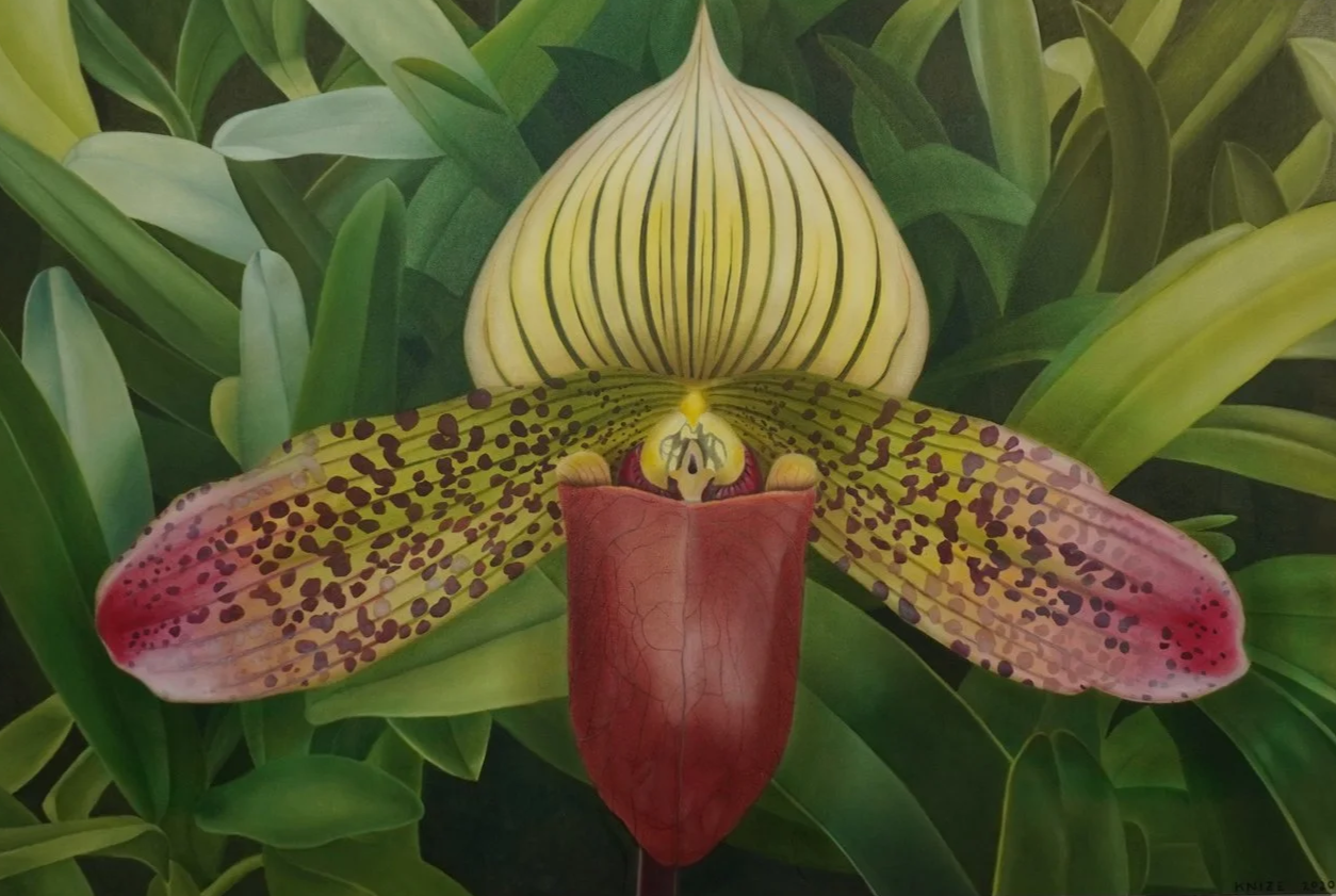 Green, reddish-brown, yellow, and pink jungle path flower with flora background. 