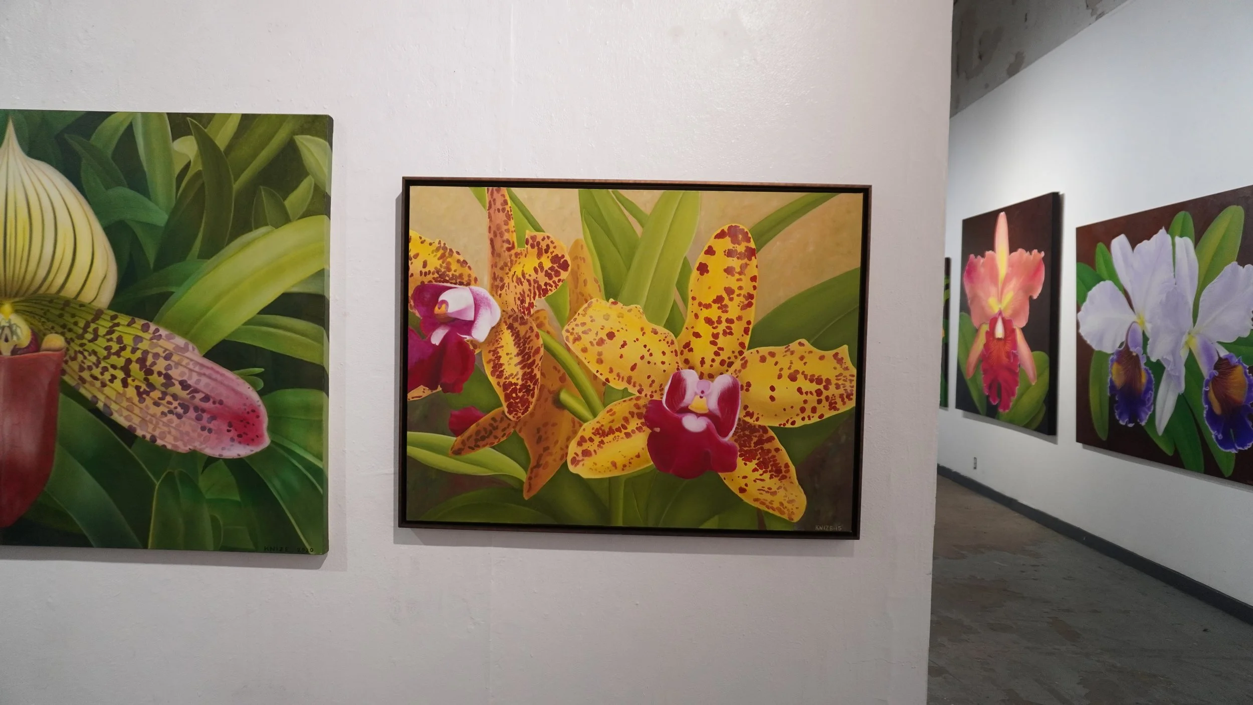 Christine Knize
