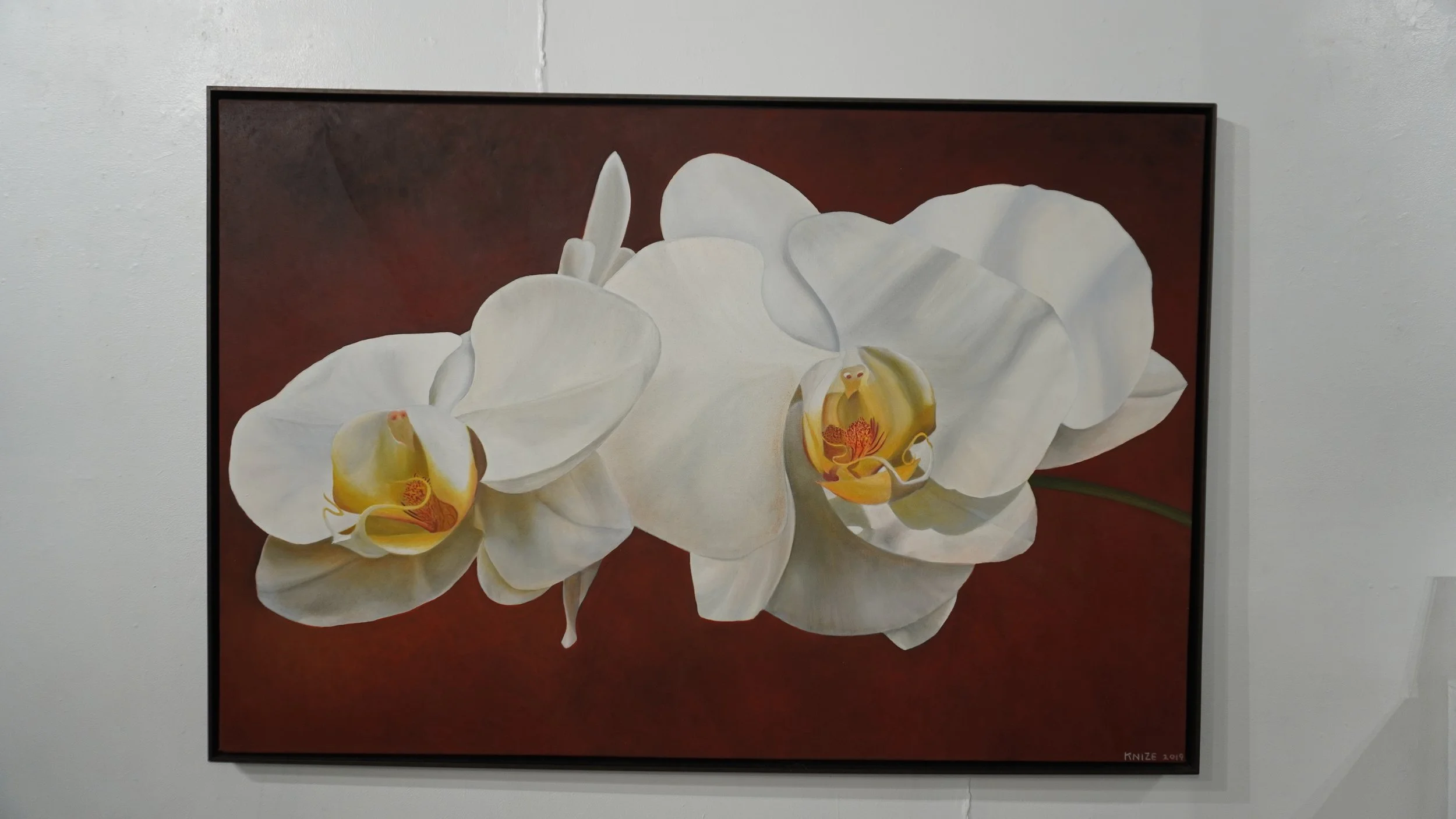 Two white phal flowers, the center of each flower is orange and red. The background is dark reddish-brown. 