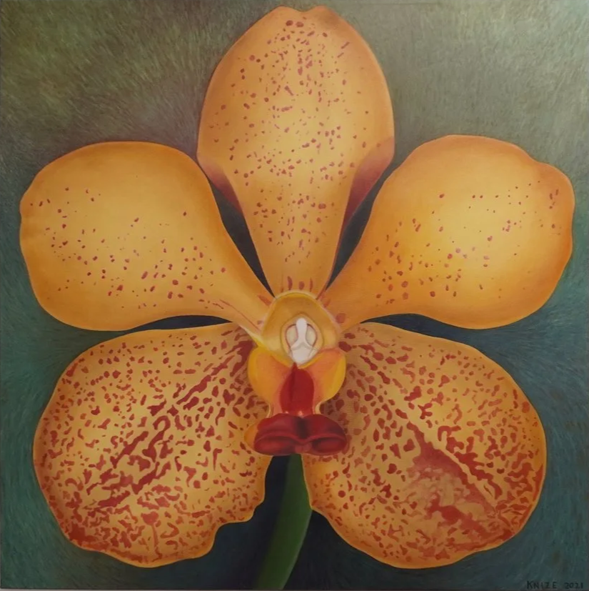 Single orange orchid, the center is white and red. The background features multi-colored washes of green. 